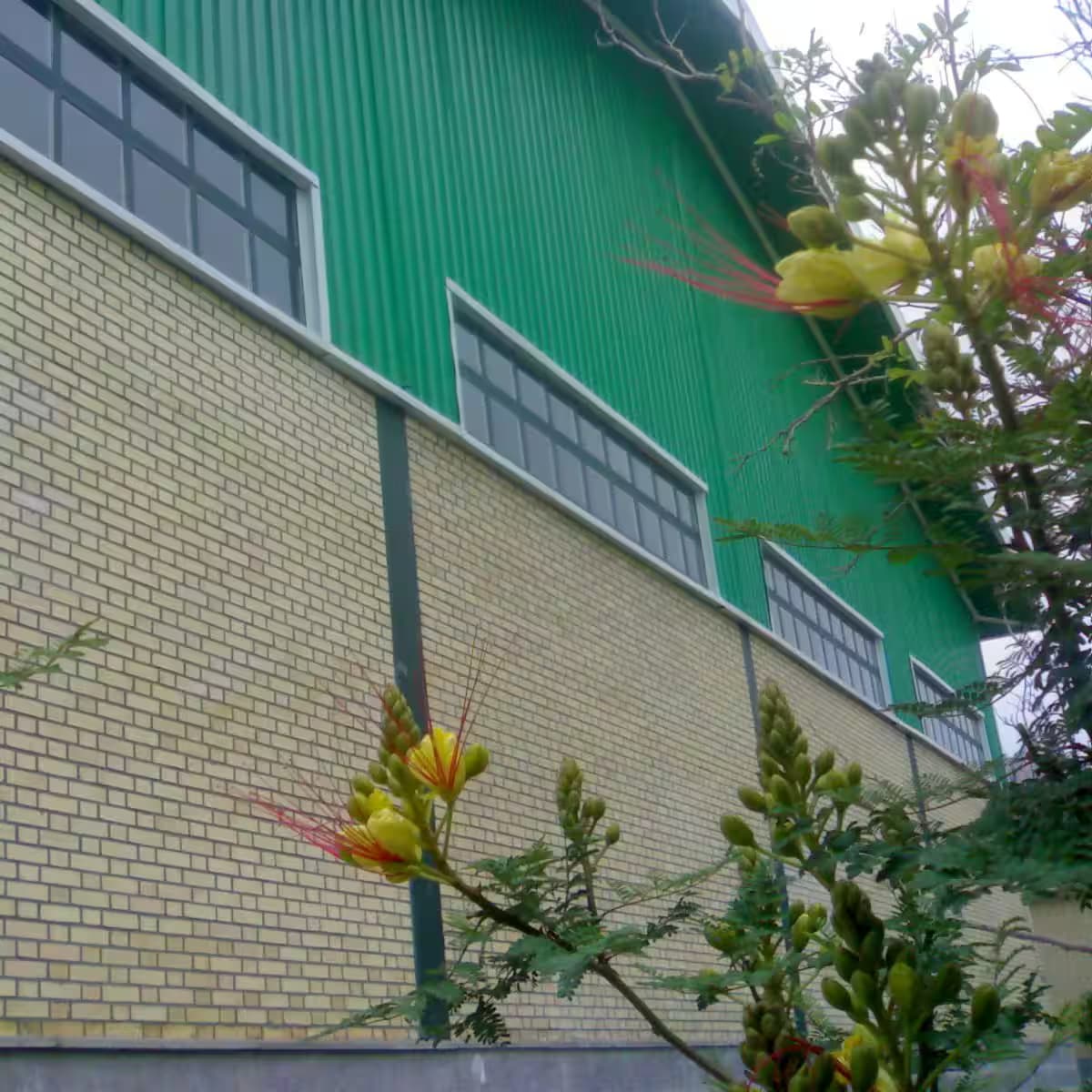 پروژه احداث سوله انبار گلتاش