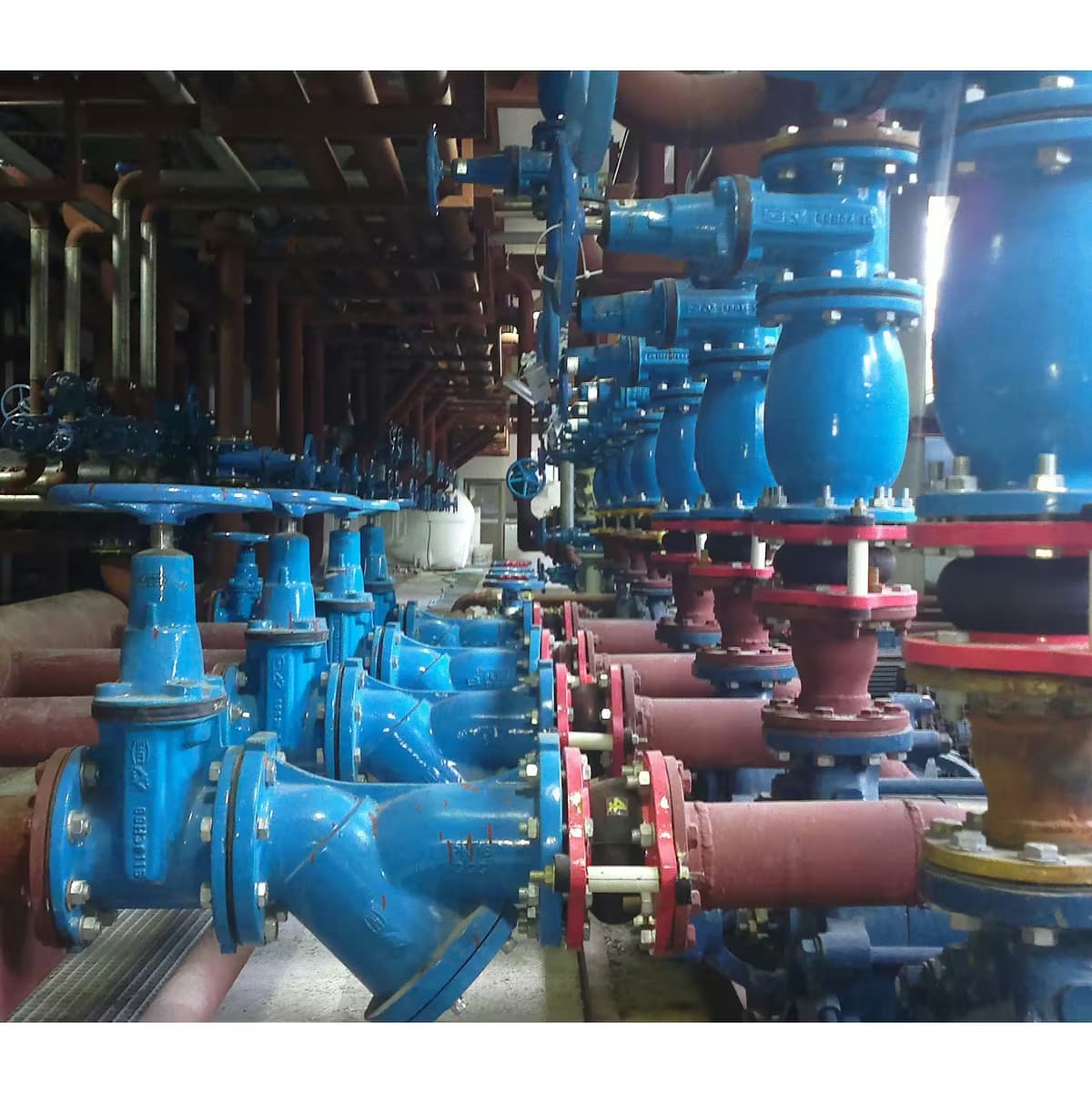 پروژه احداث استخر دانشگاه علوم پزشکی